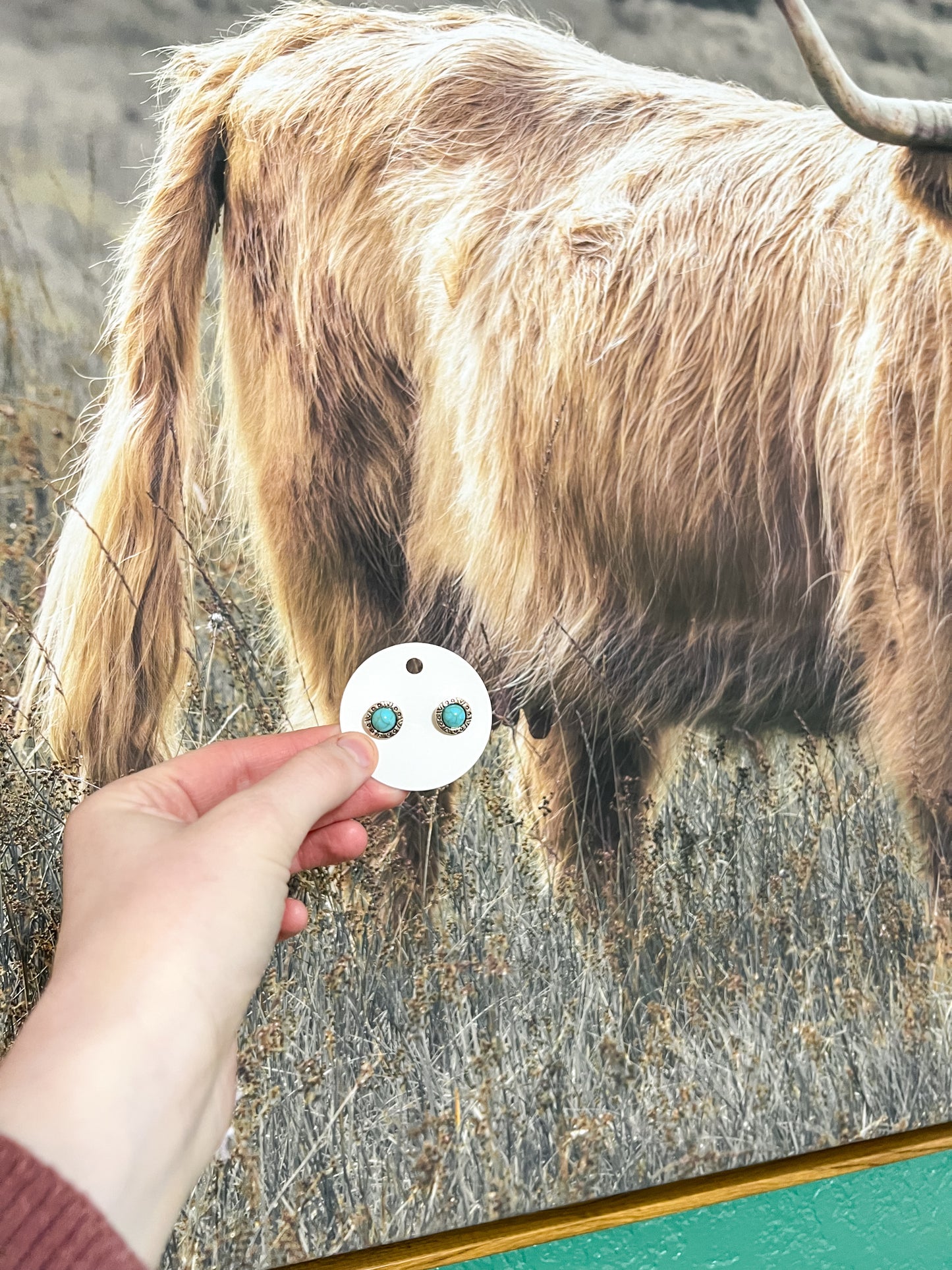 Turquoise Stud Earrings